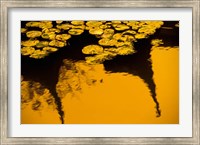 Lily Pond and Temple Reflection in Yellow, China Fine Art Print