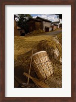 Bai Minority Laying Wheat on the Road, Jianchuan County, Yunnan Province, China Fine Art Print