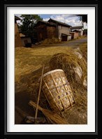 Bai Minority Laying Wheat on the Road, Jianchuan County, Yunnan Province, China Fine Art Print