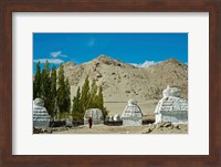 White Stupa Forest, Shey, Ladakh, India Fine Art Print