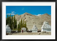 White Stupa Forest, Shey, Ladakh, India Fine Art Print