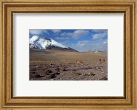 Towards The Summit Of Kongmaru La, Markha Valley, Ladakh, India Fine Art Print