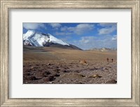 Towards The Summit Of Kongmaru La, Markha Valley, Ladakh, India Fine Art Print