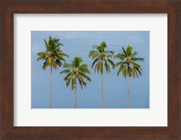 Coconut trees in Backwaters, Kerala, India Fine Art Print