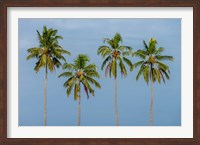 Coconut trees in Backwaters, Kerala, India Fine Art Print