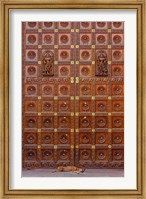 Dog and Door at Temple in Sai Baba ashram, India Fine Art Print