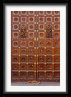 Dog and Door at Temple in Sai Baba ashram, India Fine Art Print