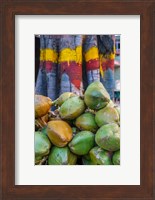 Pile of Coconuts, Bangalore, India Fine Art Print