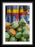 Pile of Coconuts, Bangalore, India Fine Art Print