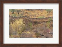 Ancient wall around old fort above Udaipur, India Fine Art Print