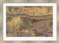 Ancient wall around old fort above Udaipur, India Fine Art Print