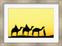 Camels and driver at sunset, Thar Desert, Jodhpur, India Fine Art Print