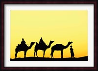 Camels and driver at sunset, Thar Desert, Jodhpur, India Fine Art Print