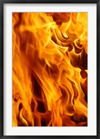Close-up of fire flames, Jodhpur, India Fine Art Print