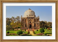 Mosque of Sheesh Gumbad, Lodhi Gardens, New Delhi, India Fine Art Print