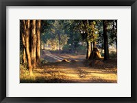 Rural Road, Kanha National Park, India Fine Art Print
