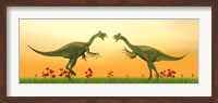Two Gigantoraptor dinosaurs fighting on green grass by sunset Fine Art Print