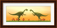 Two Gigantoraptor dinosaurs fighting on green grass by sunset Fine Art Print