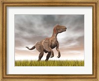 Velociraptor dinosaur standing in the yellow grass Fine Art Print