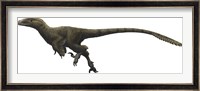 Utahraptor ostrommaysorum Fine Art Print