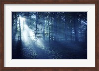 Beam of light in a dark forest, Liselund Slotspark, Denmark Fine Art Print