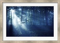 Beam of light in a dark forest, Liselund Slotspark, Denmark Fine Art Print