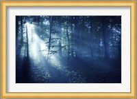 Beam of light in a dark forest, Liselund Slotspark, Denmark Fine Art Print