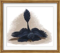 Microraptor gui spreads its four wings to look as large as possible Fine Art Print