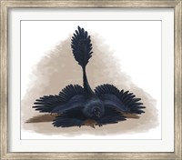 Microraptor gui spreads its four wings to look as large as possible Fine Art Print