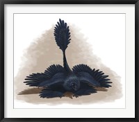 Microraptor gui spreads its four wings to look as large as possible Fine Art Print