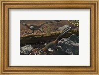 Mei long, the famous troodontid in the sleeping position Fine Art Print