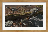 Mei long, the famous troodontid in the sleeping position Fine Art Print