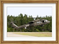 US Army UH-60L Blackhawk helicopter landing at Florida Airport Fine Art Print