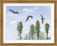 Pteranodon longiceps trio, two males and a female Fine Art Print