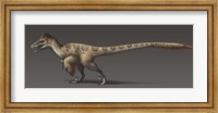 Utahraptor ostrommaysorum, the largest known dromaeosaur Fine Art Print
