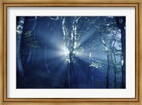 Misty rays in a dark forest, Liselund Slotspark, Denmark Fine Art Print