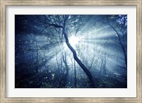 Sun rays in a dark forest, Liselund Slotspark, Denmark Fine Art Print