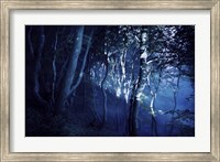 Dark forest, Liselund Slotspark, Denmark Fine Art Print