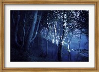 Dark forest, Liselund Slotspark, Denmark Fine Art Print