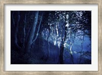 Dark forest, Liselund Slotspark, Denmark Fine Art Print