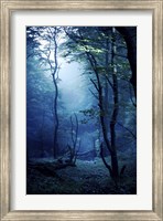 Misty, dark forest, Liselund Slotspark, Denmark Fine Art Print