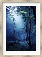 Misty, dark forest, Liselund Slotspark, Denmark Fine Art Print