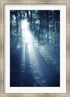 Silhouette of a man standing in the misty rays of a dark forest, Denmark Fine Art Print