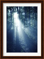Silhouette of a man standing in the misty rays of a dark forest, Denmark Fine Art Print