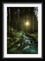 Sunset over Small Stream, Pirin National Park, Bulgaria Fine Art Print