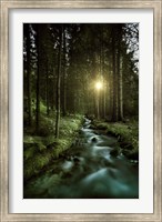 Sunset over Small Stream, Pirin National Park, Bulgaria Fine Art Print