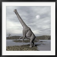Brachiosaurus dinosaur backdropped by a full moon Fine Art Print