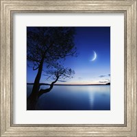 Silhouette of a lonely tree in a lake against a starry sky and moon Fine Art Print