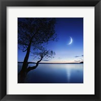 Silhouette of a lonely tree in a lake against a starry sky and moon Fine Art Print