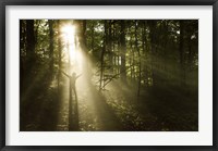 Silhouette of a man standing in the sunrays of a dark, misty forest, Denmark Fine Art Print